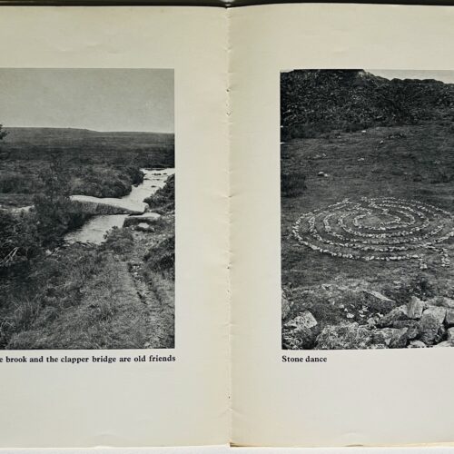 TWO SHEEPDOGS CROSS IN AND OUT OF THE PASSING SHADOWS. THE CLOUDS DRIFT OVER THE HILL WITH A STORM. 1971.