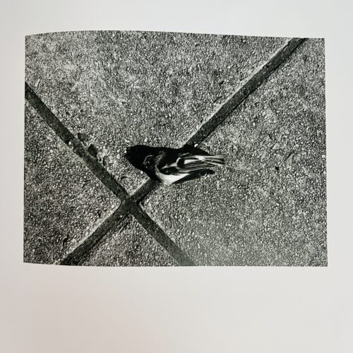 BILL DRUMMOND. A 3/4  NR 16. 2025.