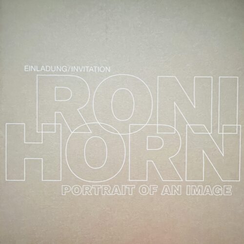 PORTRAIT OF AN IMAGE. 2013.