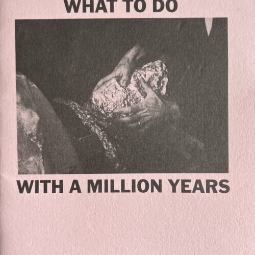 WHAT TO DO WITH A MILLION YEARS. 2018. ONE OF 500 SIGNED COPIES.