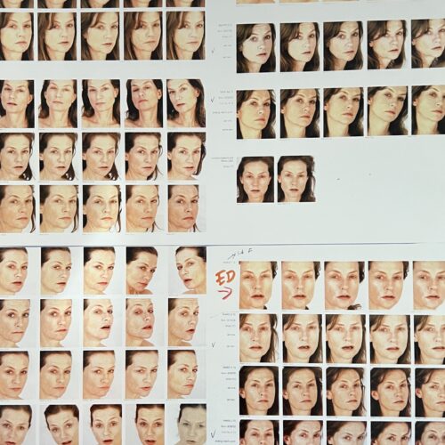 PORTRAIT OF AN IMAGE. 2006.