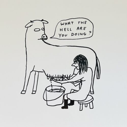 DAVID SHRIGLEY.  2005.