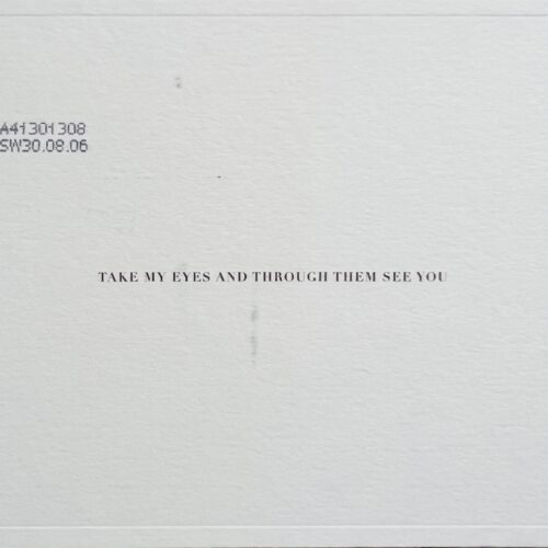 TAKE MY EYES AND THROUGH THEM SEE YOU. 2006.